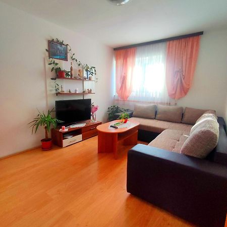 Apartman Josipa Drežnik Grad Εξωτερικό φωτογραφία