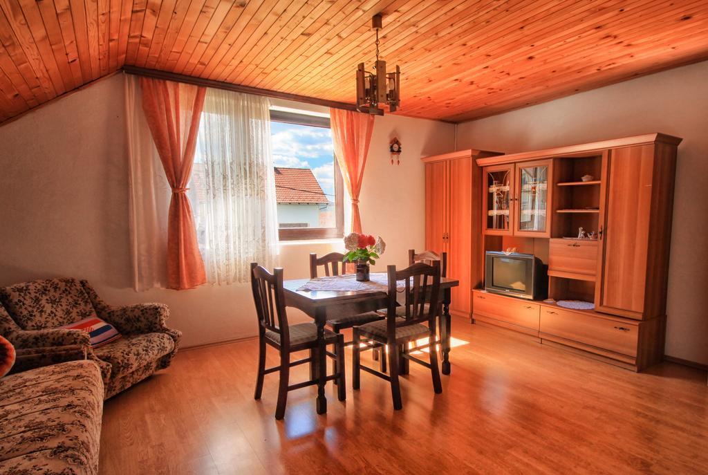 Apartman Josipa Drežnik Grad Εξωτερικό φωτογραφία